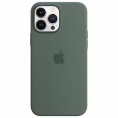 Apple Silikon-Case MagSafe für das Apple iPhone 13 Pro Max - Eucalyptus