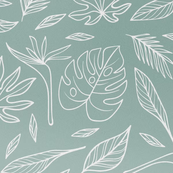 imoshion Design Hülle Samsung Galaxy S25 Edge - Leaves Line-Art