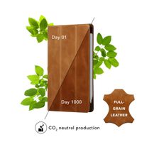 dbramante1928 Risskov Case Apple iPad Pro 11 (2025) M5 / (2024) M4 - Tan