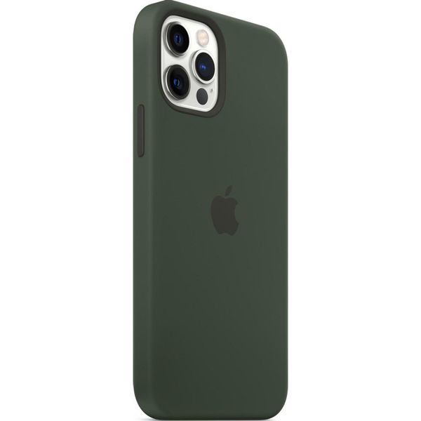 Apple Silikon-Case MagSafe iPhone 12 (Pro) - Cypress Green