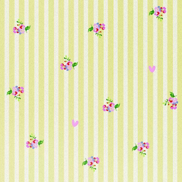 imoshion Design Hülle Samsung Galaxy S25 - Garden Stripes