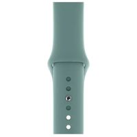 Apple Sport Armband für das  Apple Watch Series 1 t/m 11 / SE / Ultra (44/45/46/49 mm) - Cactus