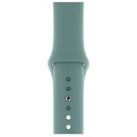 Apple Sport Band für Apple Watch Series 1-10 / SE / Ultra (2) - 42/44/45/46/49 mm - Cactus