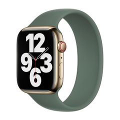 Apple Silikon Solo Loop für das  Apple Watch | 38/40/41/42 mm - Größe 4 - Eucalyptus