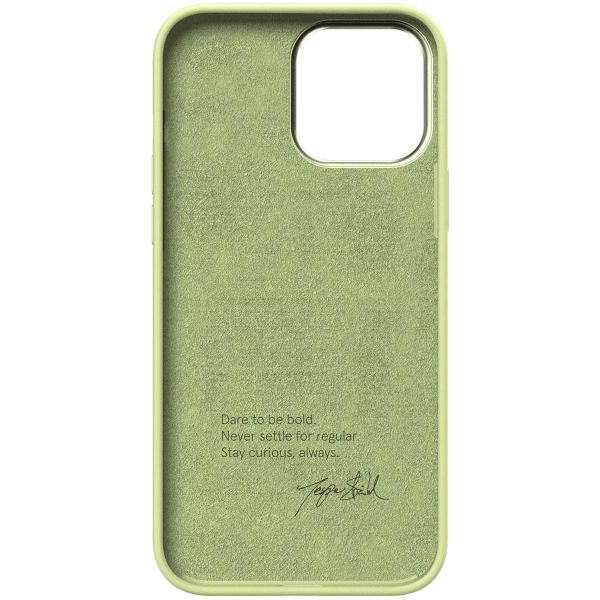 Nudient Bold Case für das iPhone 13 Pro Max - Leafy Green