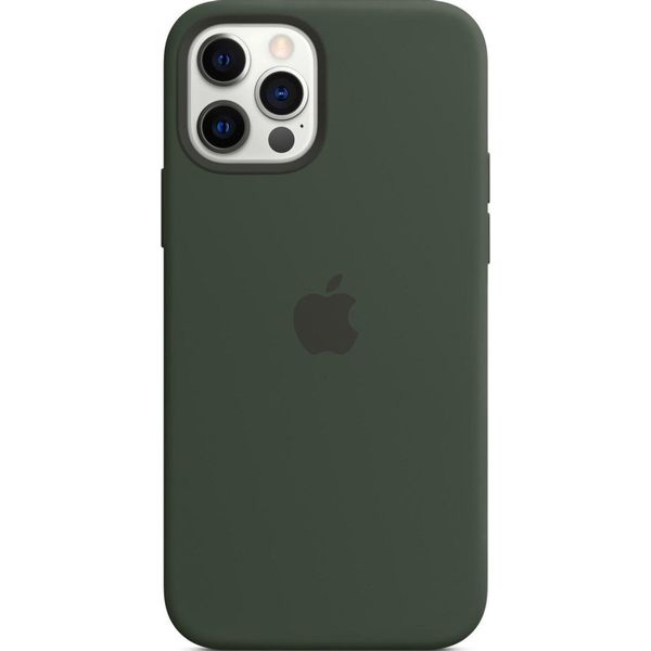 Apple Silikon-Case MagSafe iPhone 12 (Pro) - Cypress Green