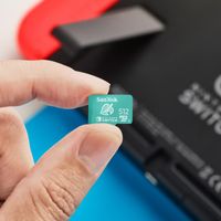 SanDisk microSD für das Nintendo Switch - 512GB - Tanooki Leaf