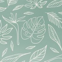 imoshion Design Hülle Samsung Galaxy S25 Edge - Leaves Line-Art