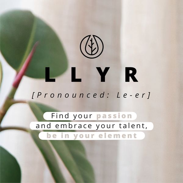 Selencia Llyr Klapphülle in Schlangenoptik mit herausnehmbarem Backcover Apple iPhone 13 Pro - Dunkelrot