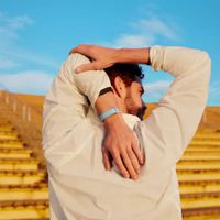 Google Performance Loop Band für Fitbit Air - Fog