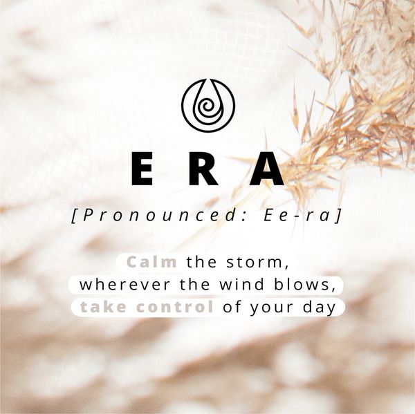 Selencia Echtleder Klapphülle Apple iPhone X / Xs - Braun