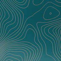 imoshion Design Hülle Apple iPhone 16 - Topo Turquoise