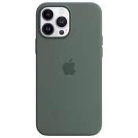 Apple Silikon-Case MagSafe für das Apple iPhone 13 Pro Max - Eucalyptus