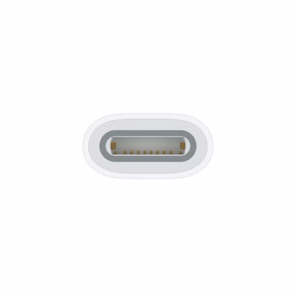 Apple USB-C auf Apple Pencil Adapter