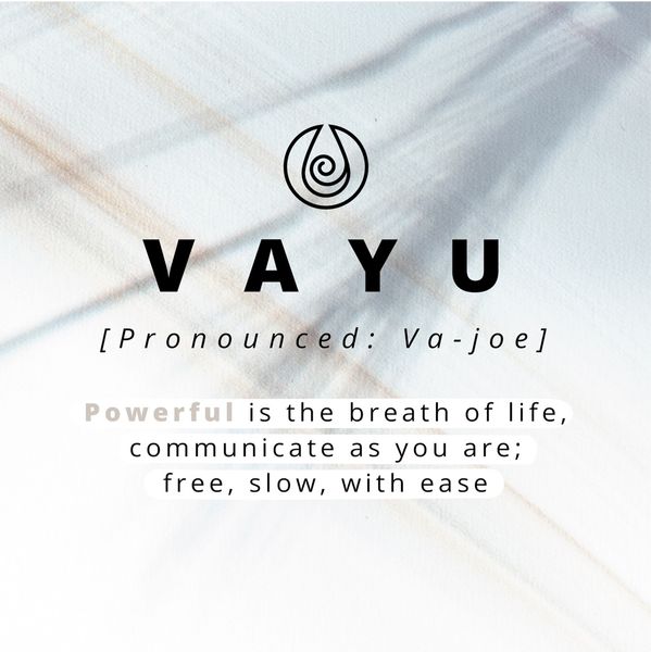 Selencia Vayu Veganes Leder-Backcover Apple iPhone 12 (Pro) - Braun