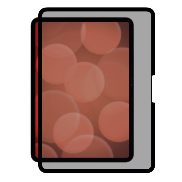 Displex Privacy Displayschutzfolie Apple iPad Pro 11 (2025) M5 / (2024) M4