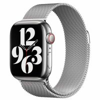 Apple Mailänder Fitness-Armband für Apple Watch Series 1 bis 9 / SE (38/40/41 mm) | Series 10 (42 mm) - Silver