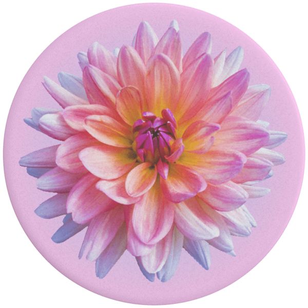 PopSockets PopGrip - Abnehmbar - Dahlia Icon