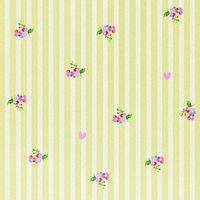 imoshion Design Hülle Samsung Galaxy S26 FE - Garden Stripes