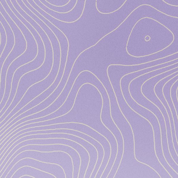imoshion Design Hülle iPhone 14 - topo_lilac