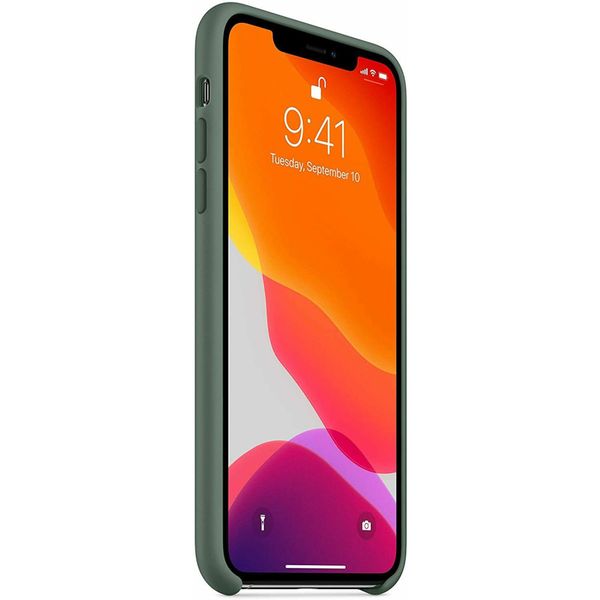 Apple Silikon-Case für das iPhone 11 - Pine Green